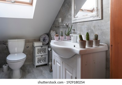 414 Cactus toilet Stock Photos, Images & Photography | Shutterstock