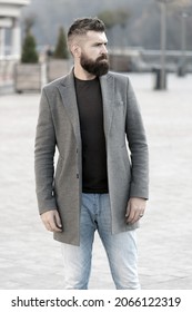 Stylish Beard And Mustache Fall And Winter Season. Beard Fashion And Barber Concept. Man Bearded Hipster Stylish Fashionable Coat. Bearded And Cool. Barber Tips Maintain Beard. Hipster Appearance