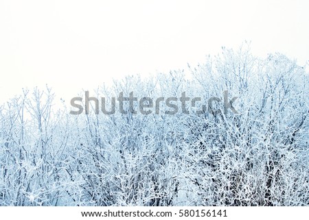 Similar – Image, Stock Photo powder forest Environment