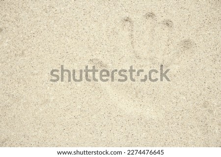 stylish beautiful pattern on the sand of the sea in the summer on the nature