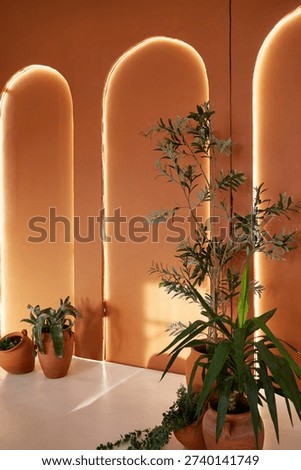 Stylish boho interior with olive tree and yucca plants against illuminated terracotta arches