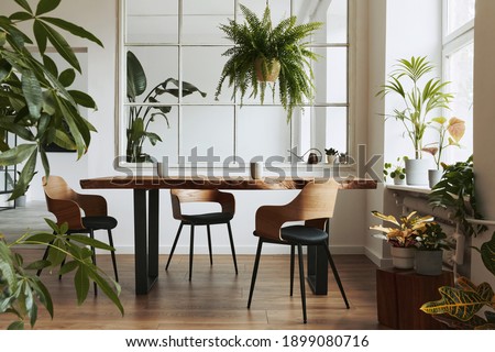 Stylish and botany interior of dining room with design craft wooden table, chairs, a lof of plants, big window, poster map and elegant accessories in modern home decor. Template.