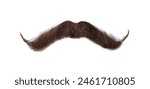 Stylish brown mustache isolated on white. Facial hair