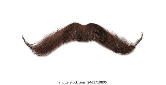 Stylish brown mustache isolated on white. Facial hair