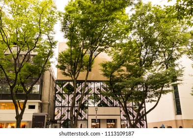 Stylish Building Along Omotesando And Street Trees