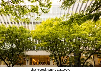 Stylish Building Along Omotesando And Street Trees