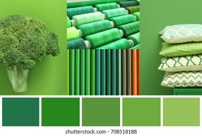 Stylish Collage With Green Color Palette