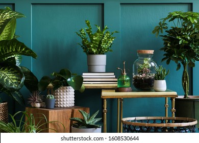 Stylish Composition Home Garden Interior Filled Stock Photo 1608530647 ...