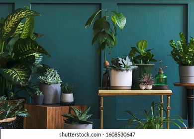 Stylish Composition Home Garden Interior Filled Stock Photo 1608530647 ...