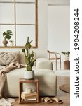 Stylish composition of living room with design beige sofa, wooden stool, cacti, plants, book, decoration, furniture and elegant personal accessories. Modern home decor. Open space. Template.