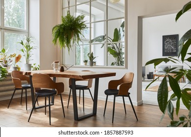 Stylish and cozy interior of dining room with design craft wooden table, chairs, plants, velvet sofa, poster map and elegant accessories in modern home decor. Template.