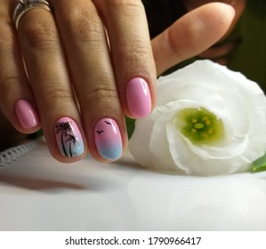 stylish design manicure nails  gradient nails pink   blue color gel varnish drawing palm tree   birds