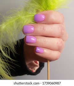 stylish design manicure short nails lilac color gel polish gradient the nails gel polish