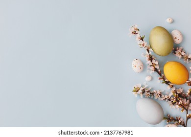 Stylish easter eggs, cherry blossoms flat lay on blue background. Modern natural dyed easter eggs, candy and white flowers border layout. Happy Easter! Greeting card, space or text