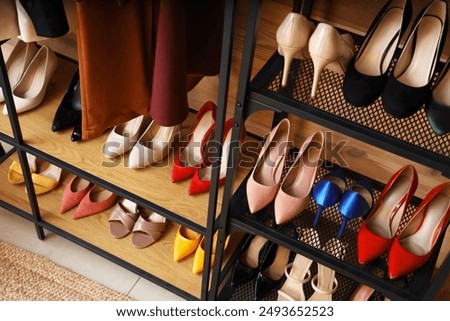 Stylish female shoes on shelves near wooden wall in room