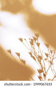 Stylish Flowers Shadow On Beige Wall. Minimal Aesthetic Wallpaper