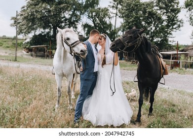 Stylish groom in a blue suit and a beautiful bride in a white long dress stand with a white and black horse in the countryside in nature. Wedding photography.