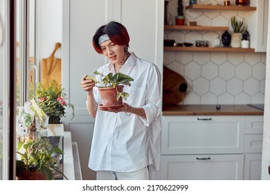 Stylish Guy Looking At The Leaves Of A Plant In The Kitchen At Home