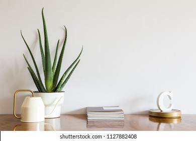 Stylish Home Interior Mock Up Photo Frame, Aloe Vera Plant, Design Watering Can And Books.