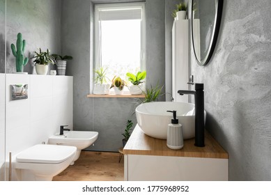 Stylish interior of bathroom with grey wall, plants, window and wooden furniture in scandinavian style. Modern washbasin and faucet, toilet and bidet in scandinavian interior. 
