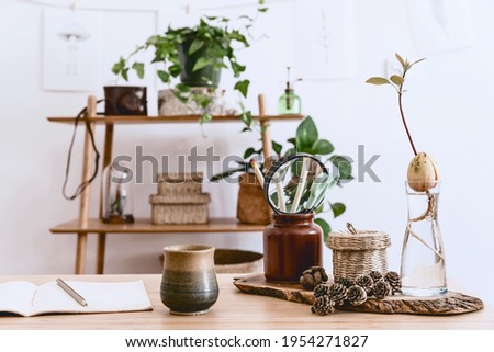 Stylish interior of home office space with wooden desk, forest accessories, avocado plant, bamboo shelf, plants and rattan decoration. Neutral home deco