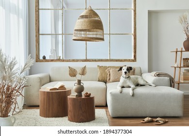 Stylish interior of living room with design modular sofa, furniture, coffee table, rattan decoration,  dried flowers and elegant accessories in modern home decor. Beautiful dog lying on the sofa.