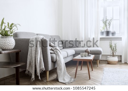 Stylish interior of living room with small design table and sofa. White walls, plants on the windowsill. Brown wooden parquet.