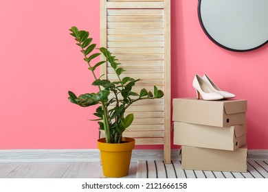 Stylish Interior Modern Hallway Houseplant Female Stock Photo