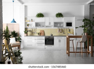 Stylish Kitchen Interior With Green Plants. Home Decoration