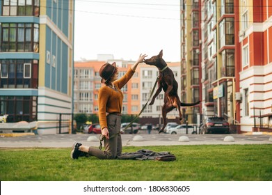Stylish lady in vintage clothes rubs the dog on the lawn in the yard, the dog leaps into the owner's hands on a leash. Playful dog with a female owner having fun on the grass in the neighborhood yard