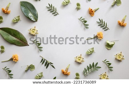 Similar – Tropical flower and palm leaves on white