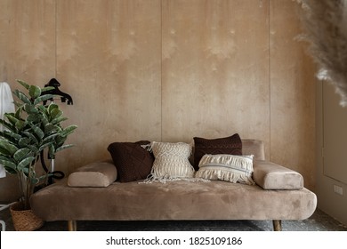 Stylish living  corner with velvet tan color sofa setting with soft pillows with plywood wall on the background / cozy interior design / modern interior