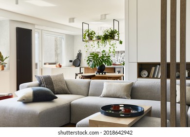 Stylish living room interior design with grey sofa, pouf and personal accessories. Dining space and kitchen on the background. Creative walls with wood pannels. Minimalistic style plant love concept.
