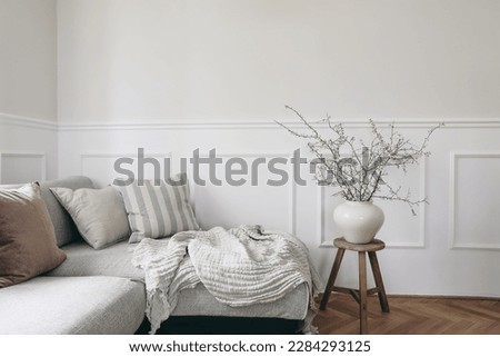 Stylish living room with vase and blooming cherry plum tree branches. Springtime home decor. Elegant scandinavian interior with comfy sofa, linen cushions and blanket. White wall background. 
