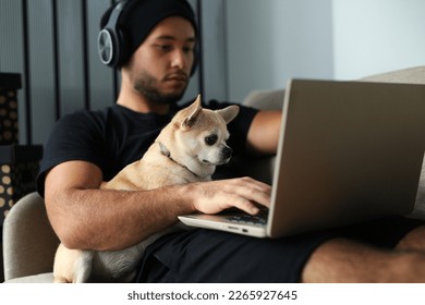 A stylish man in black clothes is at home, the guy works, watches a movie, studies on a computer. With a guy at home, a Chihuahua dog, a faithful friend and helper - Powered by Shutterstock