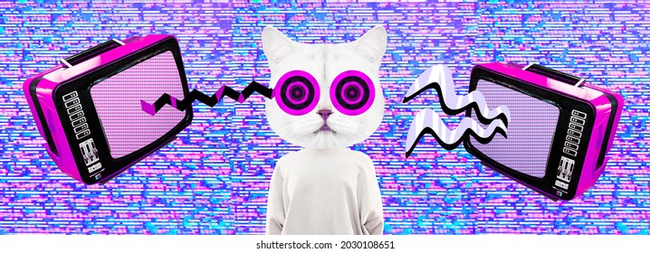 Stylish minimal collage banner scene. Funny Kitty character hypnotizing Tv. News, fake, negative, misinformation concept