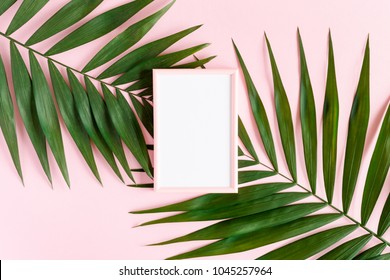 Stylish Minimal Composition With Photo Frame And Green Leaves On A Pink Pastel Background. Artwork Mockup With Copy Space