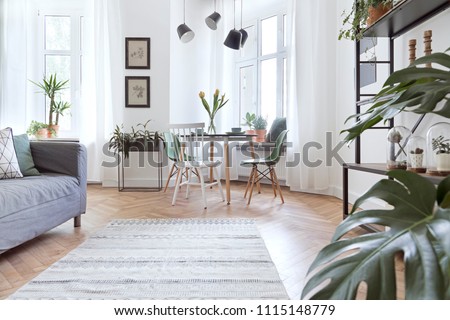 Stylish and modern open space with dining and living room with sofa and family table. Bright and sunny room with plants and brown wooden parquet.
