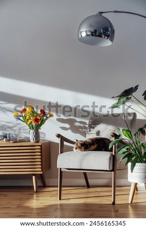 Similar – Image, Stock Photo Cozy Interior Of Summer Cafe. Jug Of Icy Cold Ice Water On Table And Cutlery Laid Out
