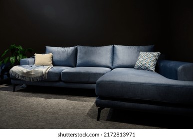 Stylish modern velour blue sofa or sofa bed with cushions in home interior. Upholstered furniture store, interior design, cosiness concept