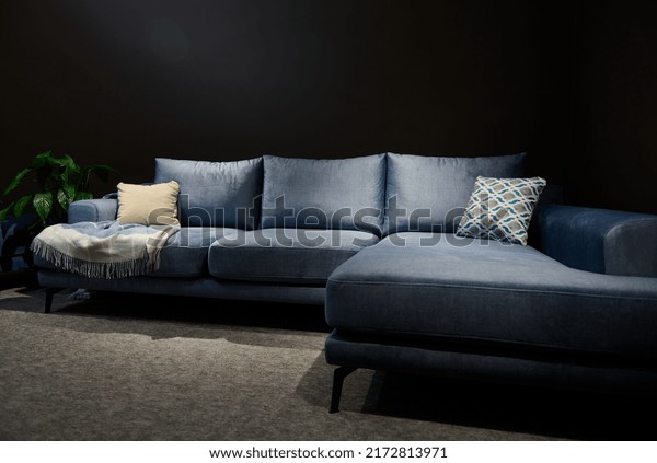 Stylish modern velour blue sofa or sofa bed with\
cushions in home interior. Upholstered furniture store, interior\
design, cosiness\
concept