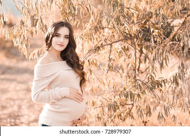 Stylish Pregnant Girl 2024 Year Old Stock Photo 728979307 Shutterstock   Stylish Pregnant Girl 2024 Year 260nw 728979307 