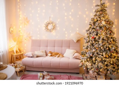 Stylish room with Christmas and New Year decorated interior. Christmas tree with gifts in a light interior of the house. Beautiful ginger cat lies on the sofa
