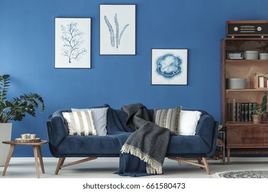 Stylish room with elegant retro sofa and vintage bookshelf - Shutterstock ID 661580473