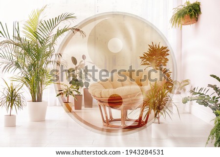 Stylish room interior with beautiful plants and Yin Yang symbol. Feng Shui philosophy 