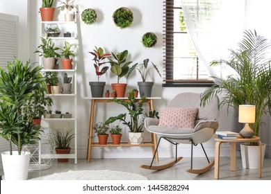 Stylish Room Interior With Different Home Plants