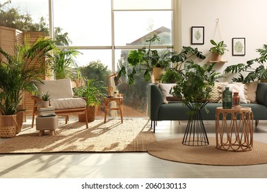 Stylish room interior with different houseplants and furniture near window