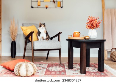 Stylish Scandinavian interior of living room with modern armchair with sitting relaxed cat pet, coffee table, natural autumn decor,stairs with plaid. Cozy home interior design with fall mood. - Shutterstock ID 2348304859