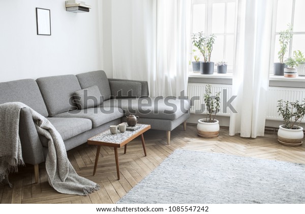 Stylish Scandinavian Interior Living Room Small Stock Photo