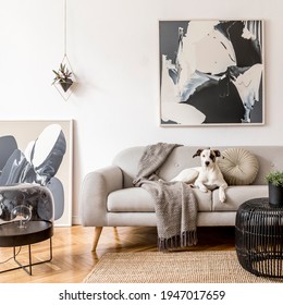 Stylish and scandinavian living room interior of modern apartment with gray sofa, design wooden commode, black table, lamp, abstrac paintings on the wall. Beautiful dog lying on the couch. Home decor. - Shutterstock ID 1947017659
